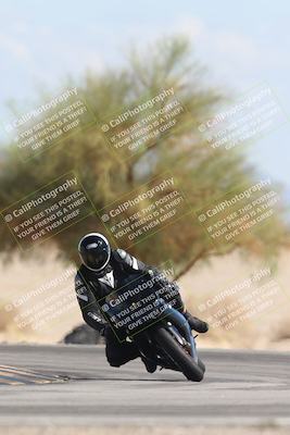 media/Oct-13-2025-Moto Forza (Mon) [[a66d839500]]/3-B Group/Session 4 Turn 4 Tree of Life/